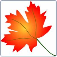 The Maple Leaf